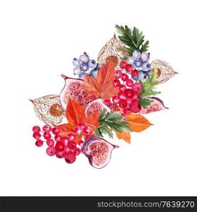 Beautiful autumn watercolor bouquet with leaves, blueberries, viburnum berries, physales and figs. Illustration. Beautiful autumn watercolor bouquet with leaves, blueberries, viburnum berries, physales and figs.
