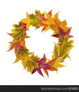 Beautiful Autumn Wreath of Red, Yellow and Green Maple Leavesat the White Background