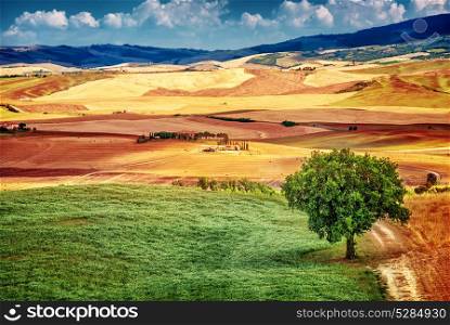Beautiful autumnal landscape, amazing view on hills with dry golden wheat plantation, panoramic countryside, beauty of nature concept