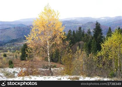 Beautiful autumnal view of Carpathian Mountains. Ukraine