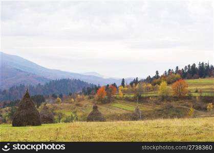 Beautiful autumnal view of Carpathian Mountains. Ukraine