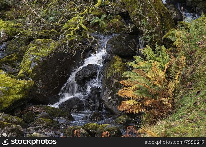 Beautiful Autun Fall landscape of waterfall in woodlands with rocks and ferns in Lake District