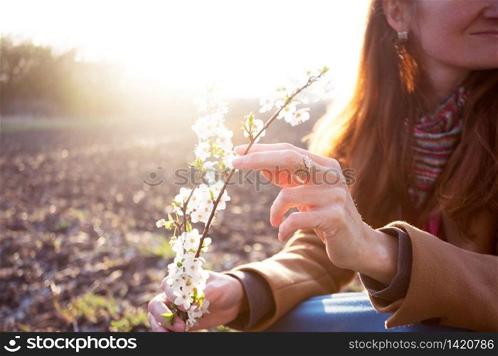 beautiful background. flowering tree and female hand