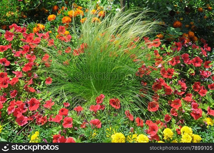 beautiful background of bright garden flowers