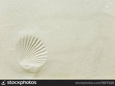 Beautiful background: Scallop shell imprint on clean sea sand, with space for text