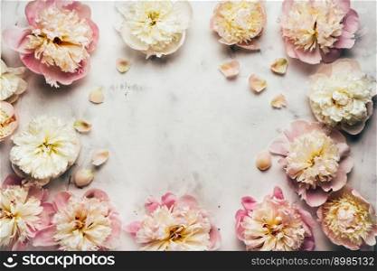 Beautiful background with many peony flowers with copy space. Greeting card or floral backgound. Floral background with many peony flowers