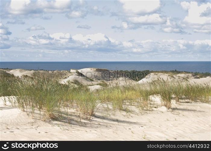 Beautiful Baltic Sea sand beach. Lithuania