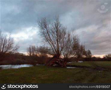 beautiful bare autumn tree dedham empty countryside sky grass landscape lake river stour; essex; england; uk