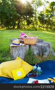 Beautiful basket with flowers and a plate with food stands on a wooden stump. Picnic. Picnic on nature