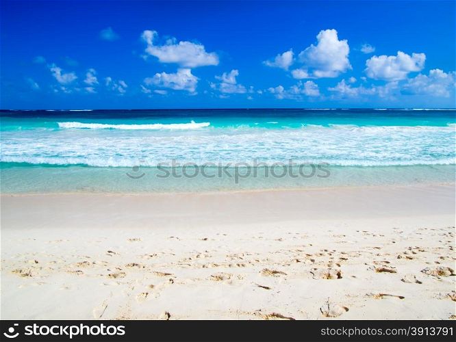 beautiful beach and blue sea