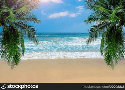 Beautiful beach and palm tree, Nature background.