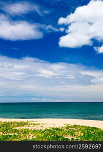 beautiful beach and tropical sea