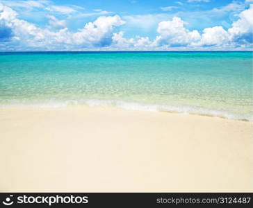 beautiful beach and tropical sea