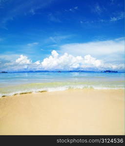 beautiful beach and tropical sea