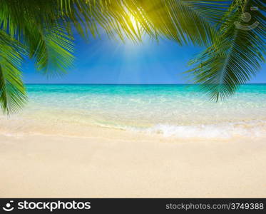 beautiful beach and tropical sea