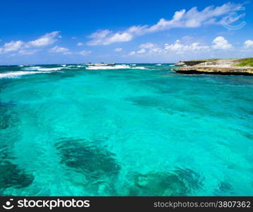 beautiful beach and tropical sea