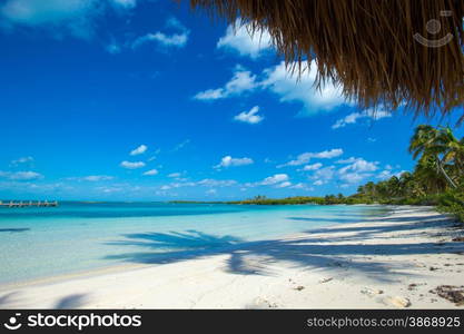 beautiful beach and tropical sea