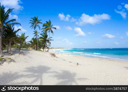 beautiful beach and tropical sea