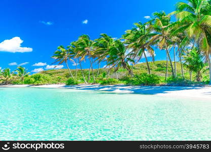 beautiful beach and tropical sea