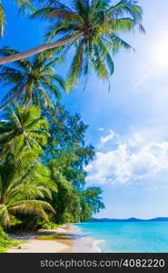 beautiful beach and tropical sea