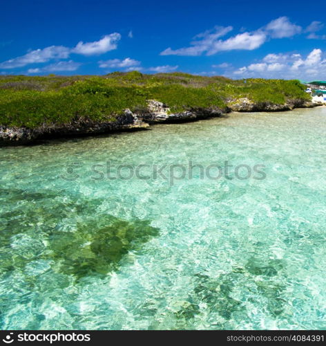 beautiful beach and tropical sea