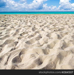 beautiful beach and tropical sea