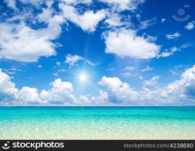 beautiful beach and tropical sea