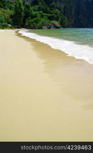 beautiful beach and tropical sea