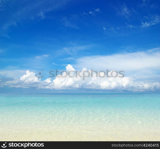 beautiful beach and tropical sea