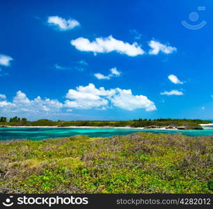 beautiful beach and tropical sea