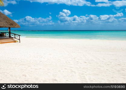 beautiful beach and tropical sea