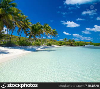 beautiful beach and tropical sea