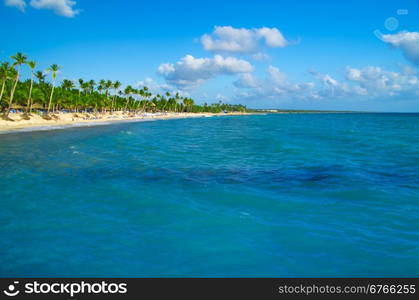 beautiful beach and tropical sea