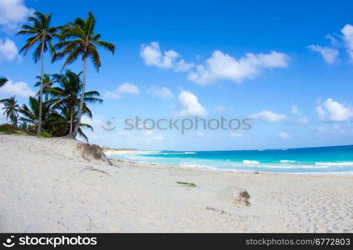 beautiful beach and tropical sea