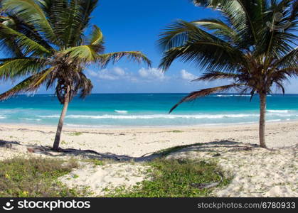 beautiful beach and tropical sea