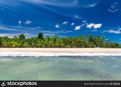 beautiful beach and tropical sea