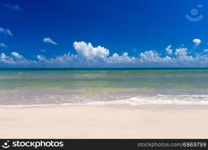 beautiful beach and tropical sea