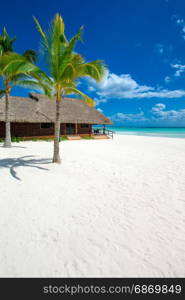 beautiful beach and tropical sea