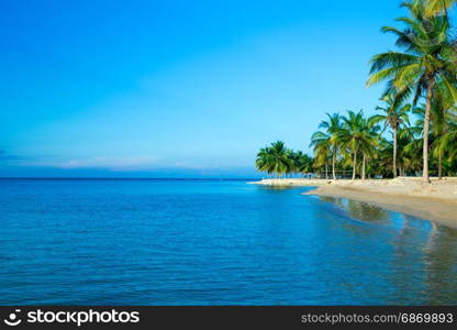 beautiful beach and tropical sea