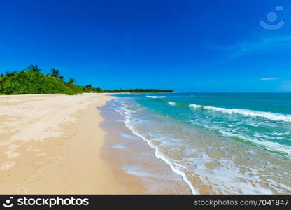 beautiful beach and tropical sea