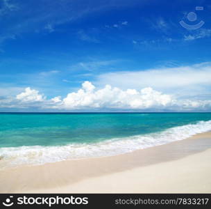 beautiful beach and tropical sea