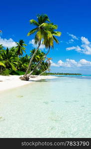 beautiful beach and tropical sea