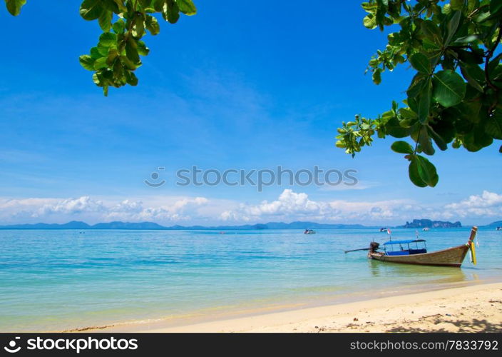 beautiful beach and tropical sea