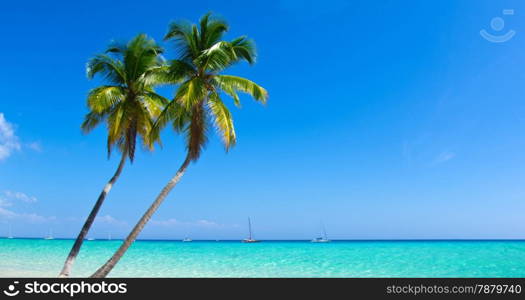 (?????beautiful beach and tropical sea???? ????????)