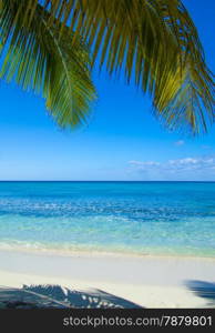 beautiful beach and tropical sea