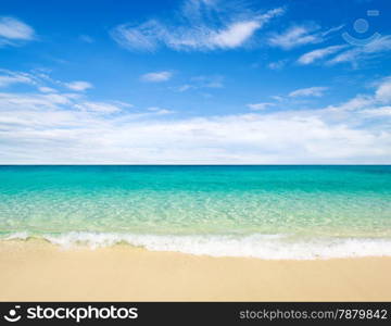 beautiful beach and tropical sea