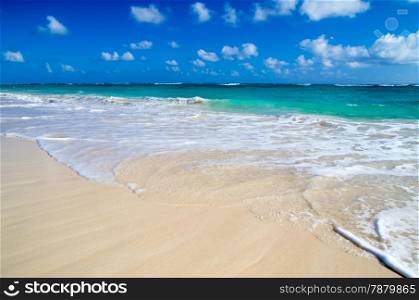 beautiful beach and tropical sea