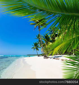 beautiful beach and tropical sea