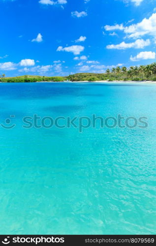 beautiful beach and tropical sea