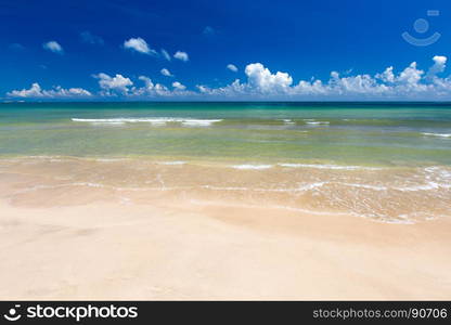 beautiful beach and tropical sea